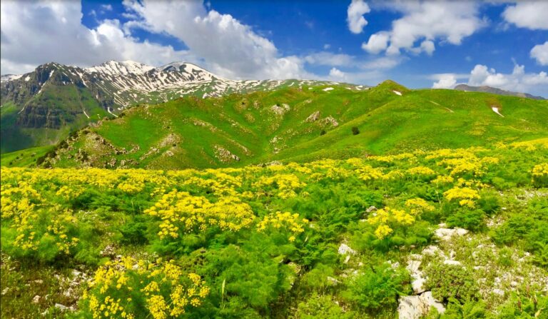 Anasayfa photo 2025 04 24 16 52 25