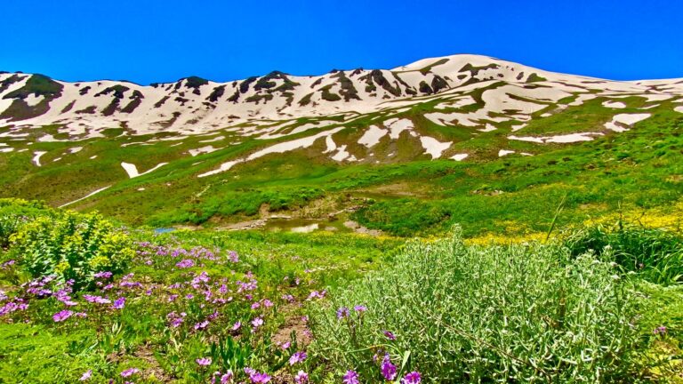 Anasayfa photo 2025 04 24 16 53 18