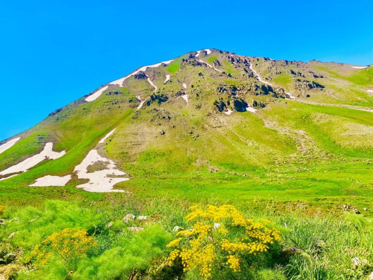 Anasayfa photo 2025 04 24 16 54 55