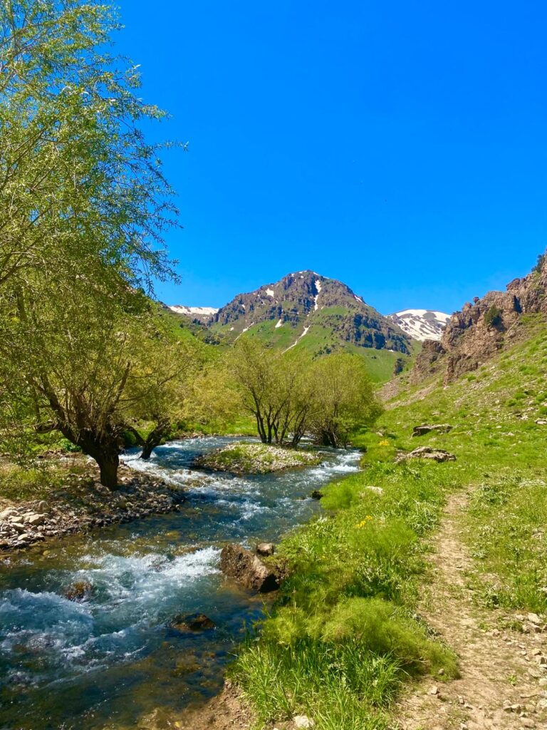 Anasayfa photo 2025 04 24 16 55 20