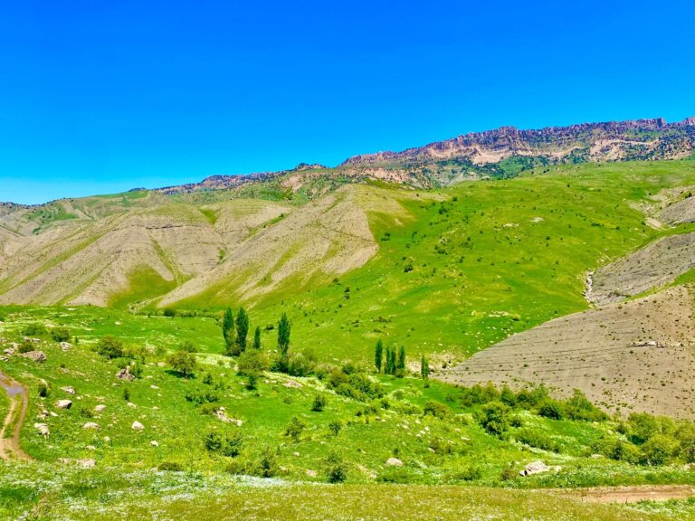 Anasayfa photo 2025 04 24 16 56 53