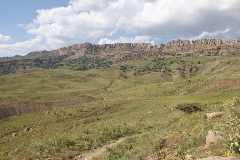 Anasayfa photo 2025 05 15 17 06 20