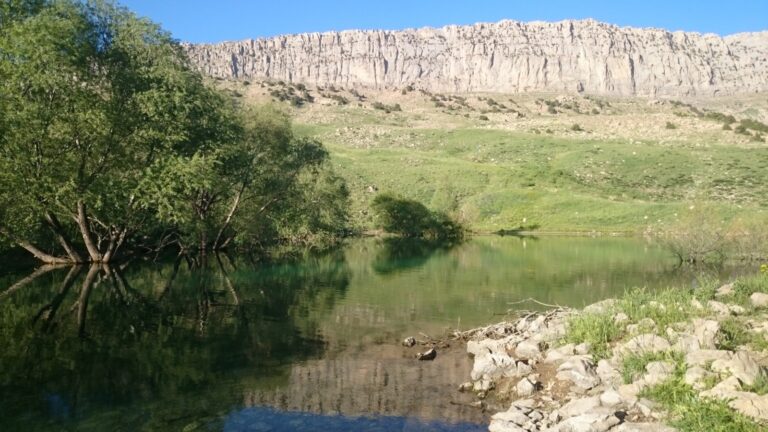 Anasayfa photo 2025 05 21 10 55 21