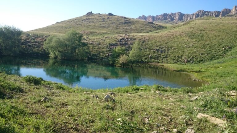 Anasayfa photo 2025 05 21 10 55 36